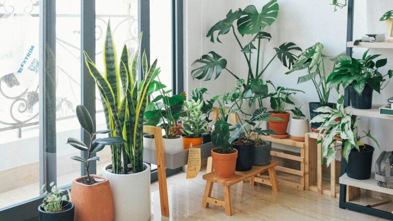 Comprendre et maîtriser le taux d’humidité : guide complet pour un intérieur sain