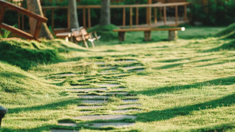 Pas japonais : quelle distance prévoir et comment les poser dans un jardin ?